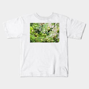 Apples Kids T-Shirt